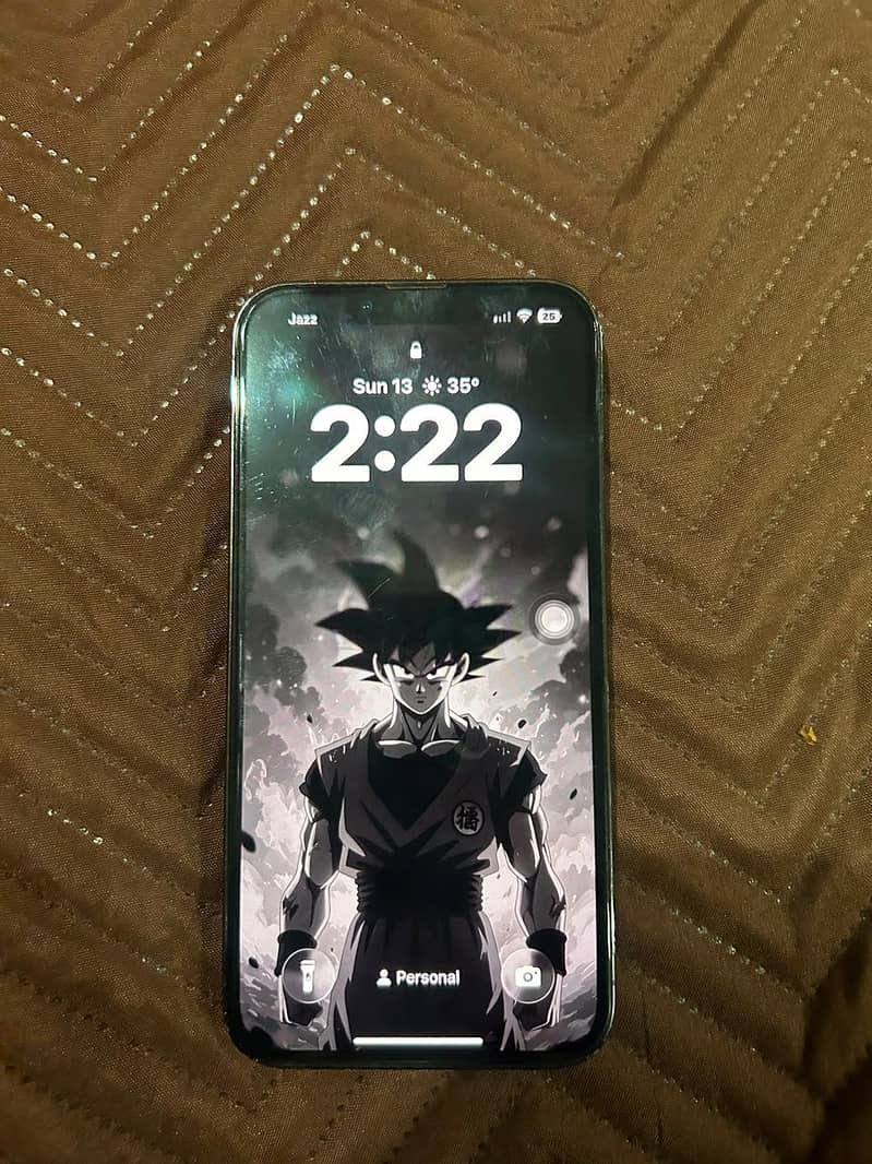Apple iPhone 13 0