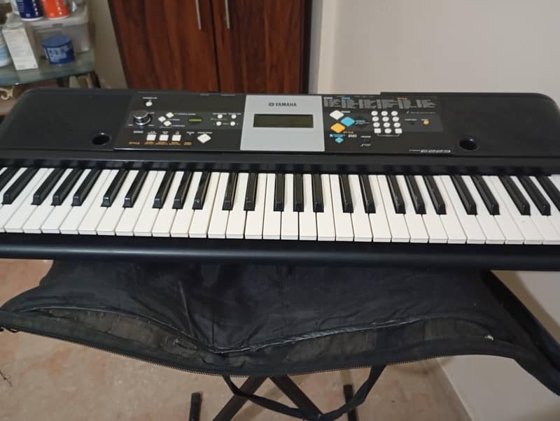 Musical Instruments 0