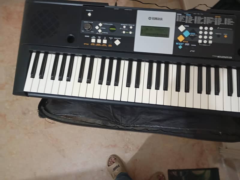 Musical Instruments 1