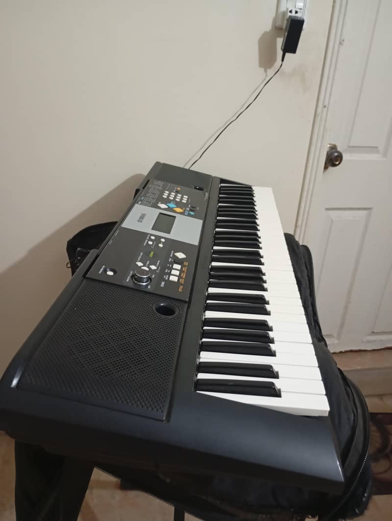 Musical Instruments 5