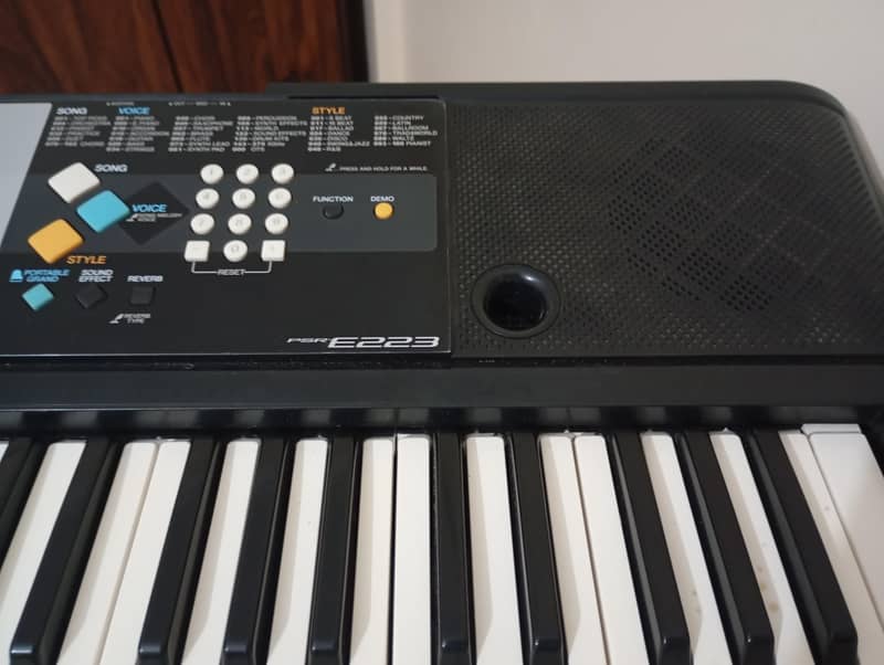 Musical Instruments 7