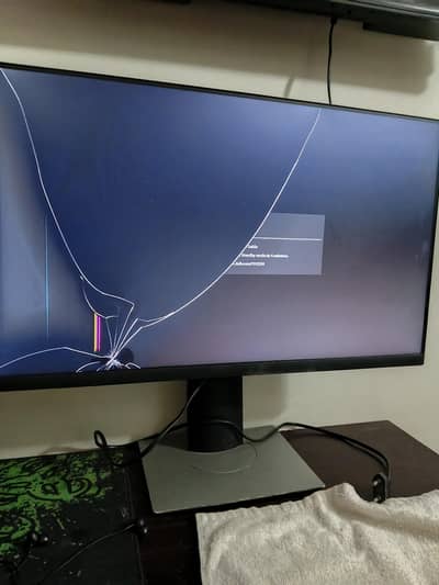 Dell 24" LED Monitor