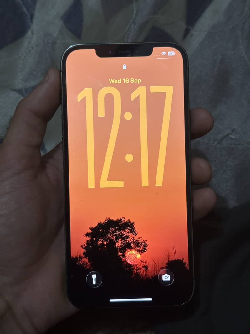 Apple iPhone 12 Pro Max 2