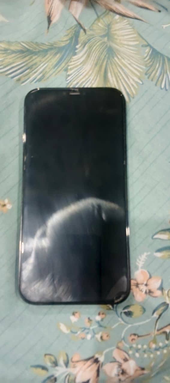 Apple iPhone 12 Pro Max 2