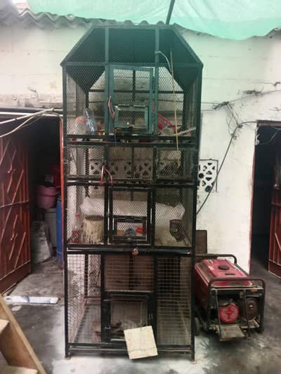 bird cage