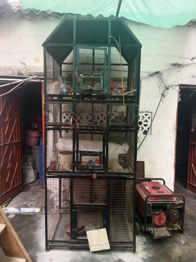 bird cage 0