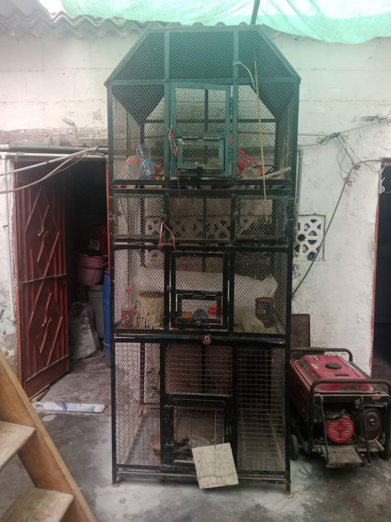 bird cage 1
