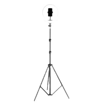 Mobile phone bracket floor anchor shooting Tripod