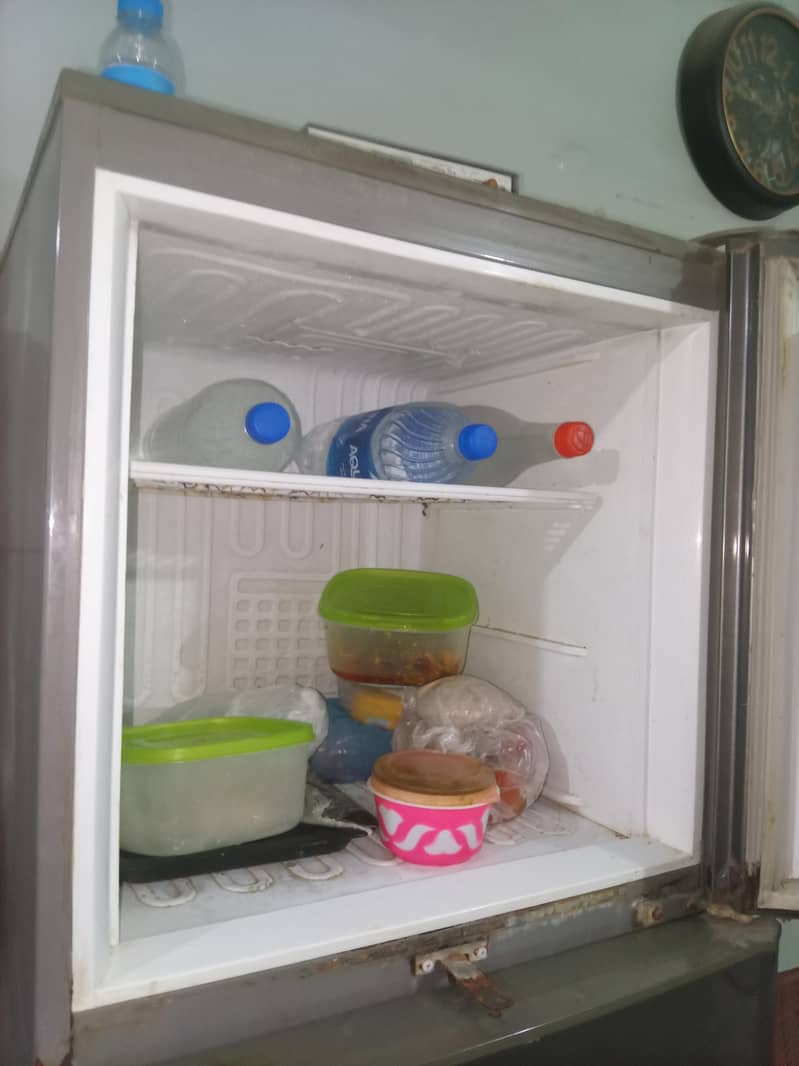 Pel Freezer 1