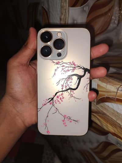 Apple iPhone 13 Pro