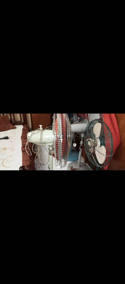 Asia 24" Pedestal fan Anwer industries