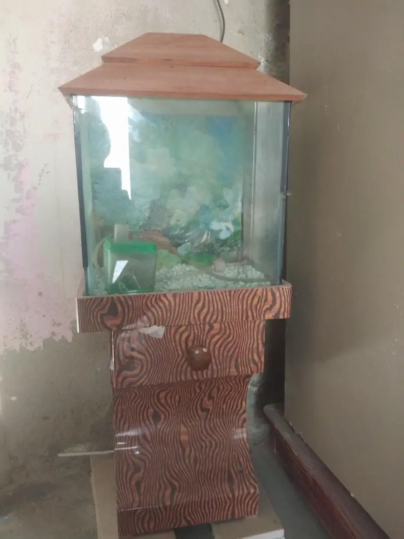 Aquarium