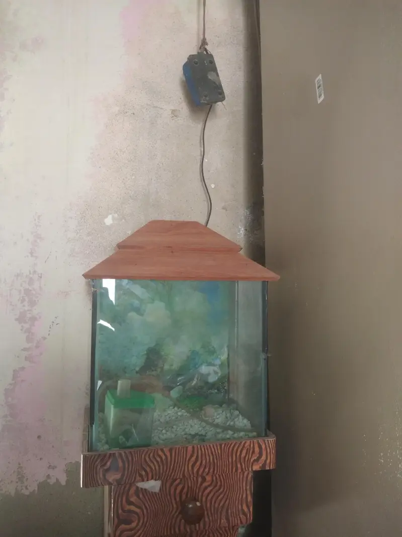 Aquarium — photo 2