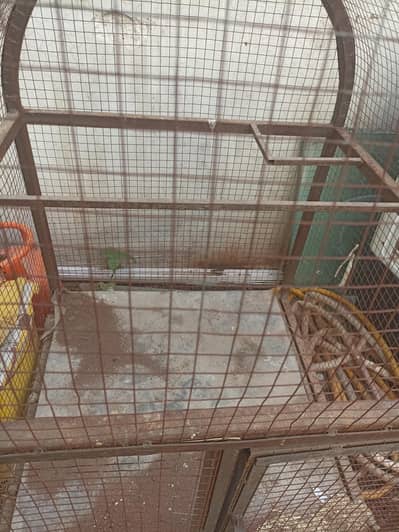 Gray bird cage good condition