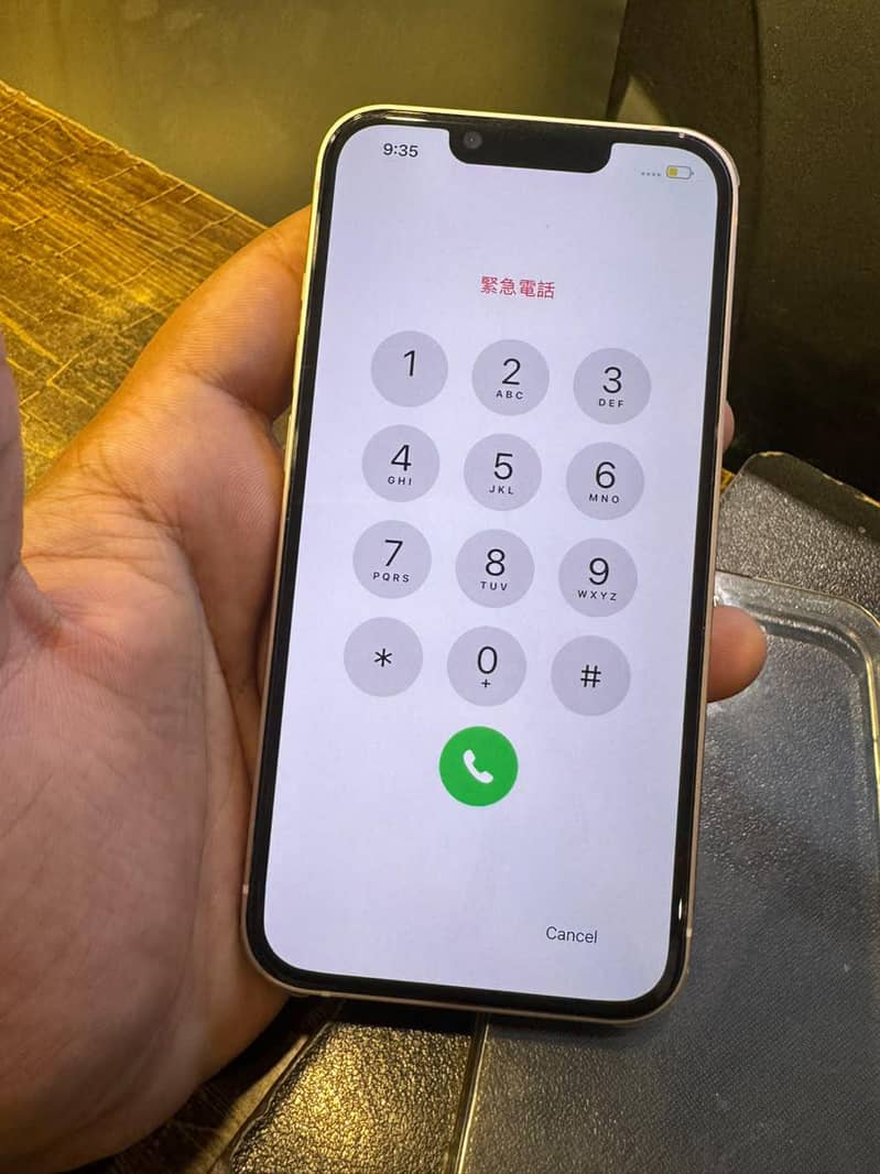 Apple iPhone 13 0