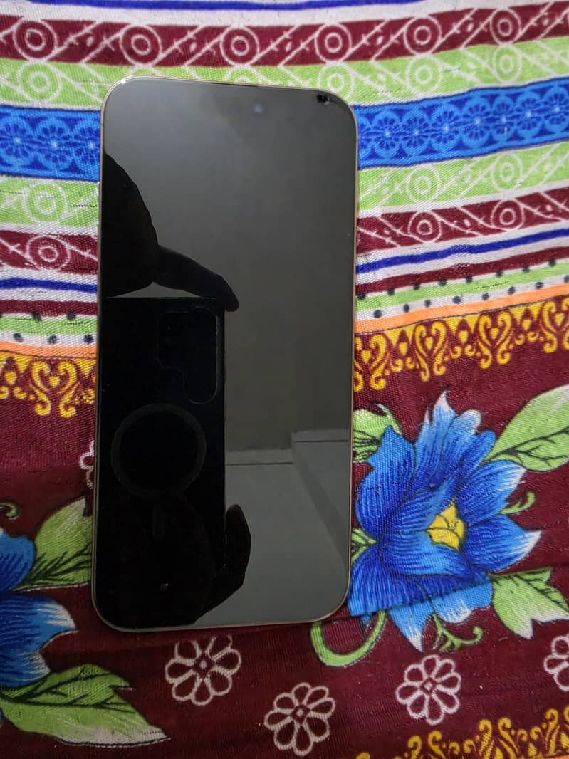 Apple iPhone 16 Pro Max 1