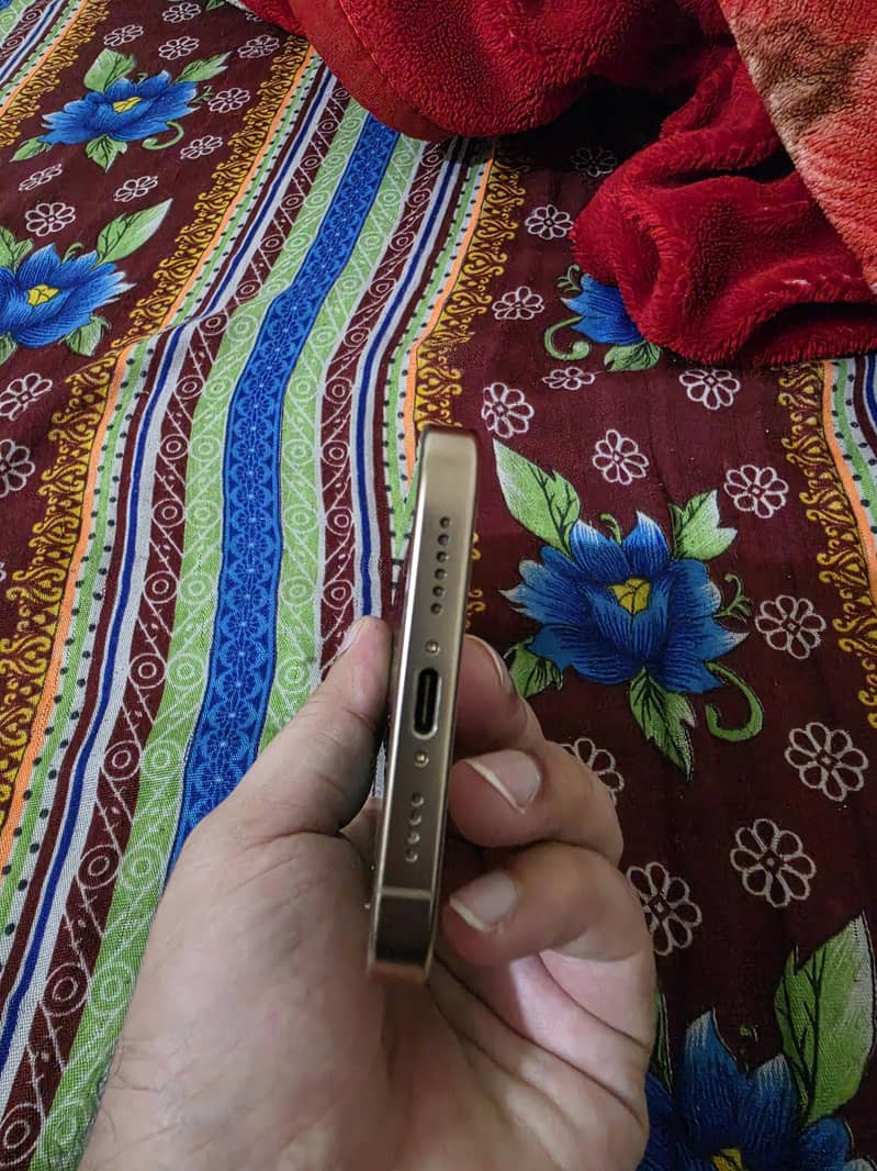 Apple iPhone 16 Pro Max 4
