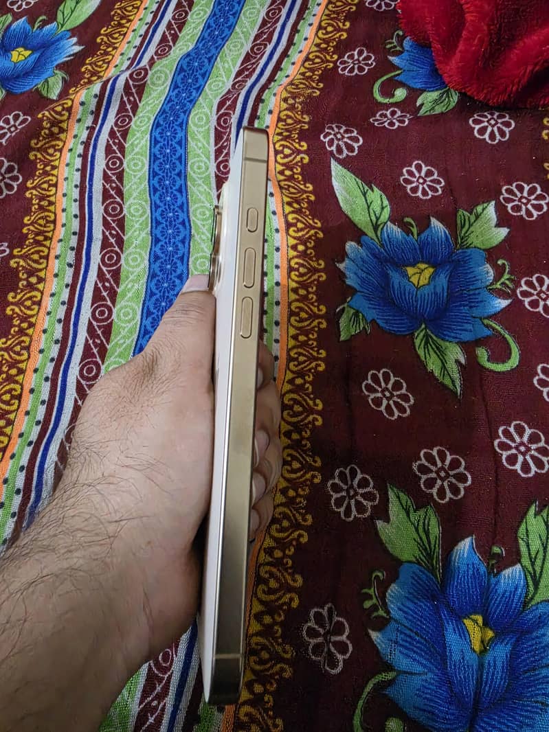 Apple iPhone 16 Pro Max 6