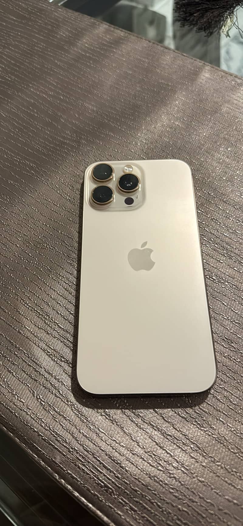 Apple iPhone 16 Pro Max 2
