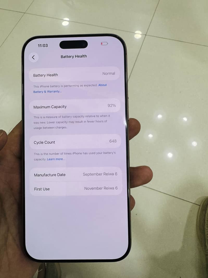 Apple iPhone 16 Pro Max 3