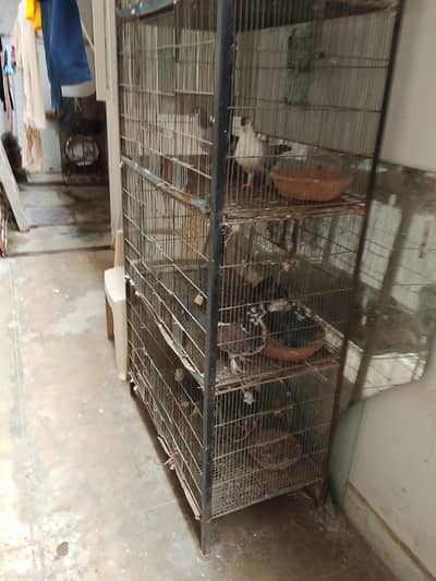 cage 4 portion
