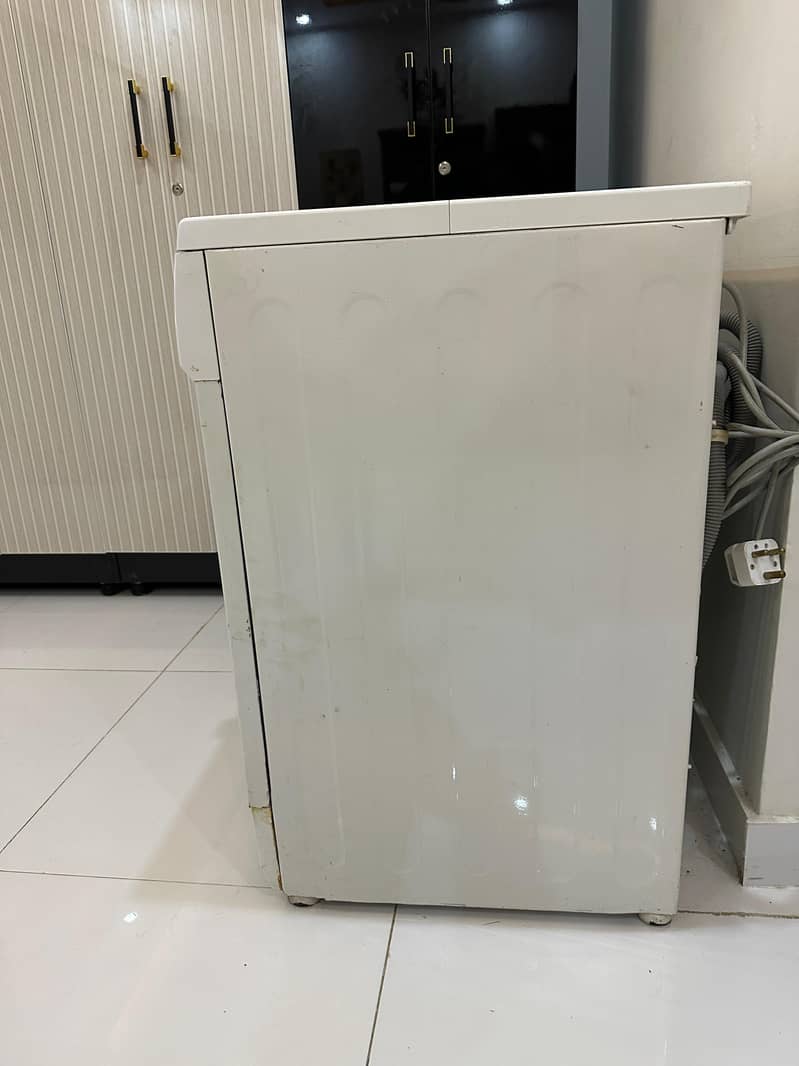 steplizer 220w 3