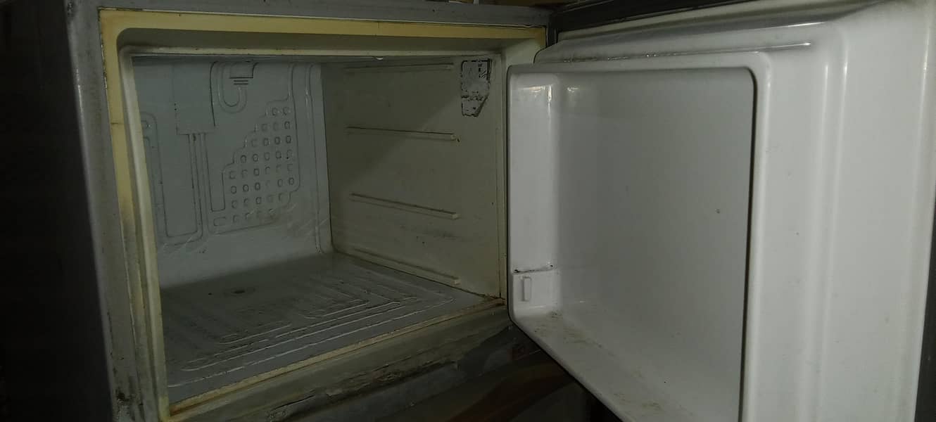 frige 1
