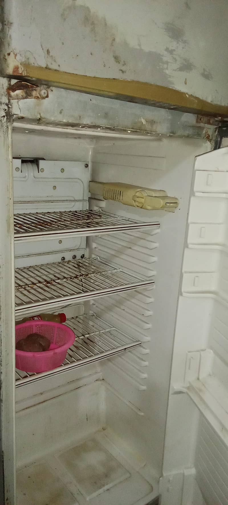 frige 2