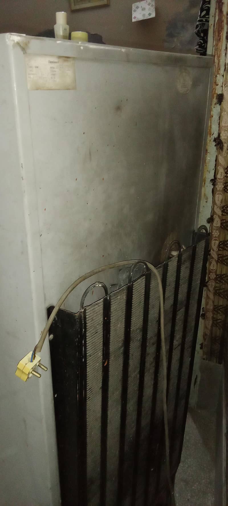 frige 4