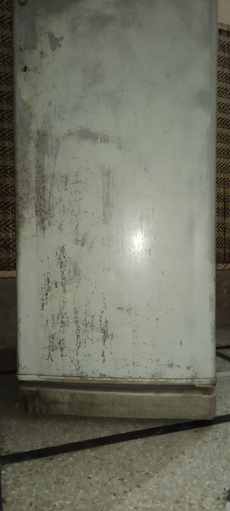 frige 6