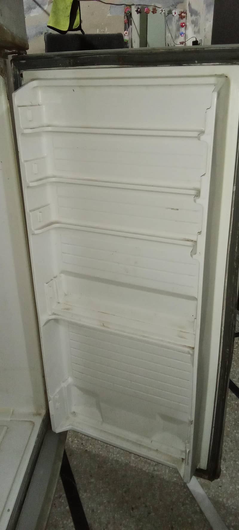 frige 7