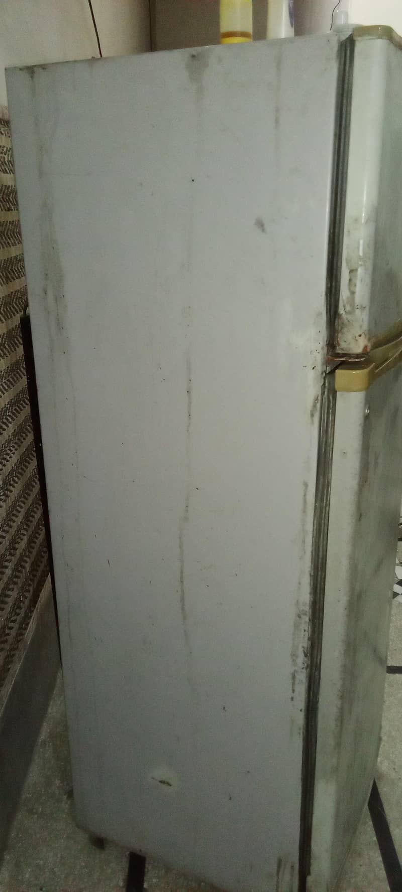 frige 8