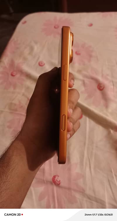 11 Pro Max non PTA convert into 17 Pro Max