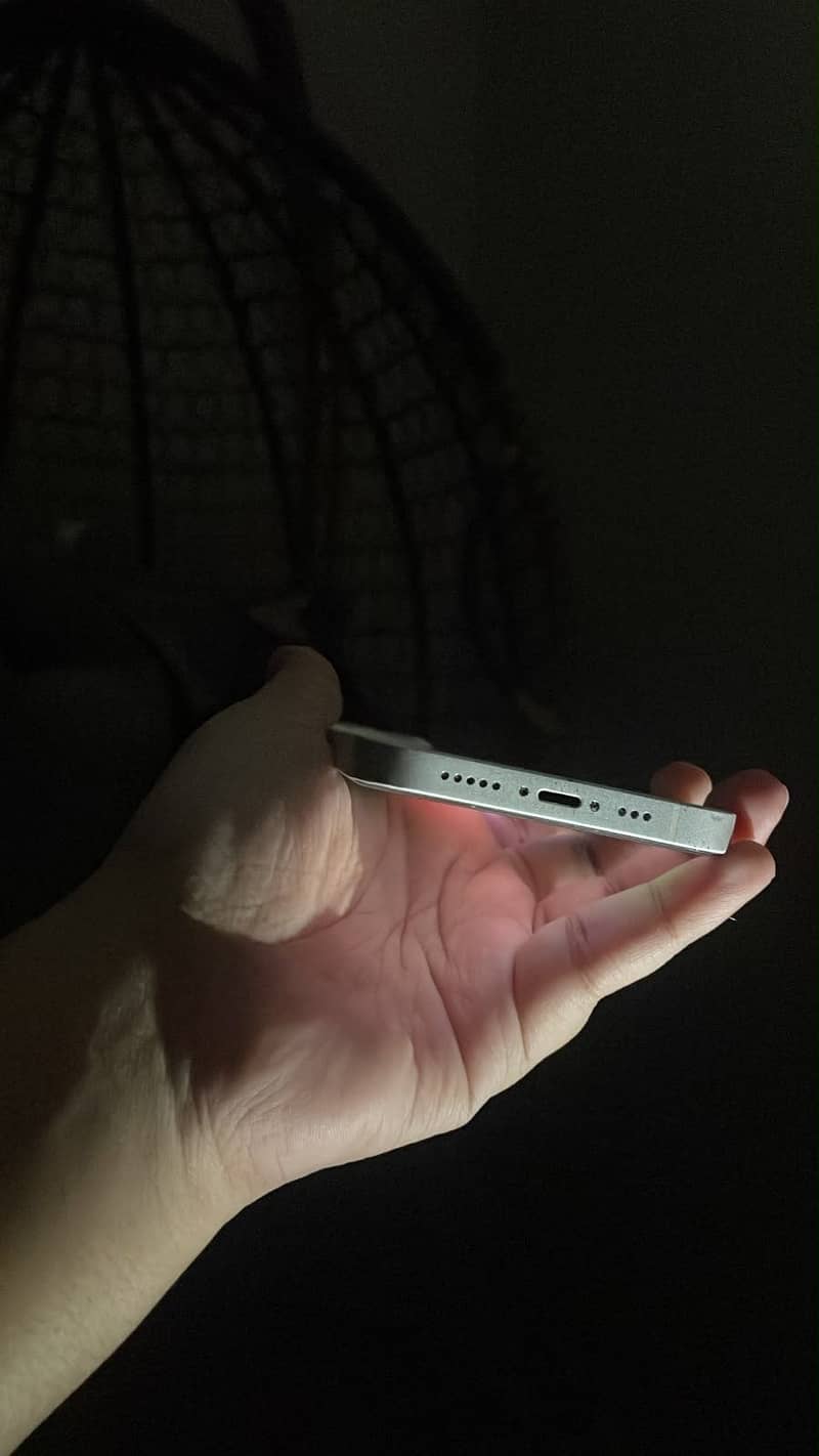 Apple iPhone 13 1