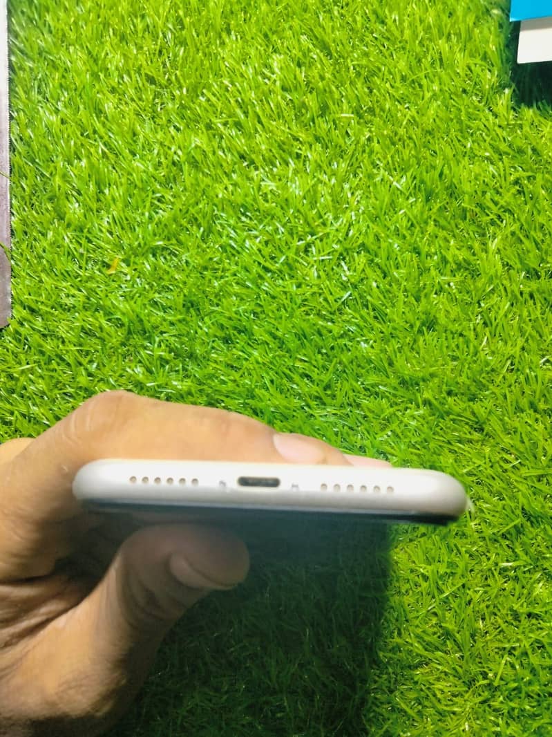 iPhone 11 4