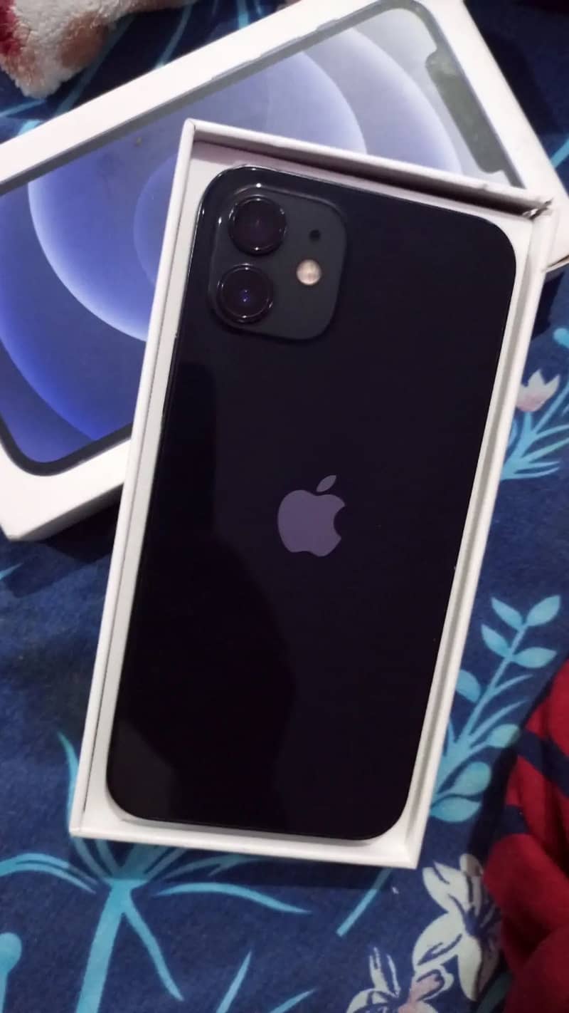 Apple iPhone 12 1
