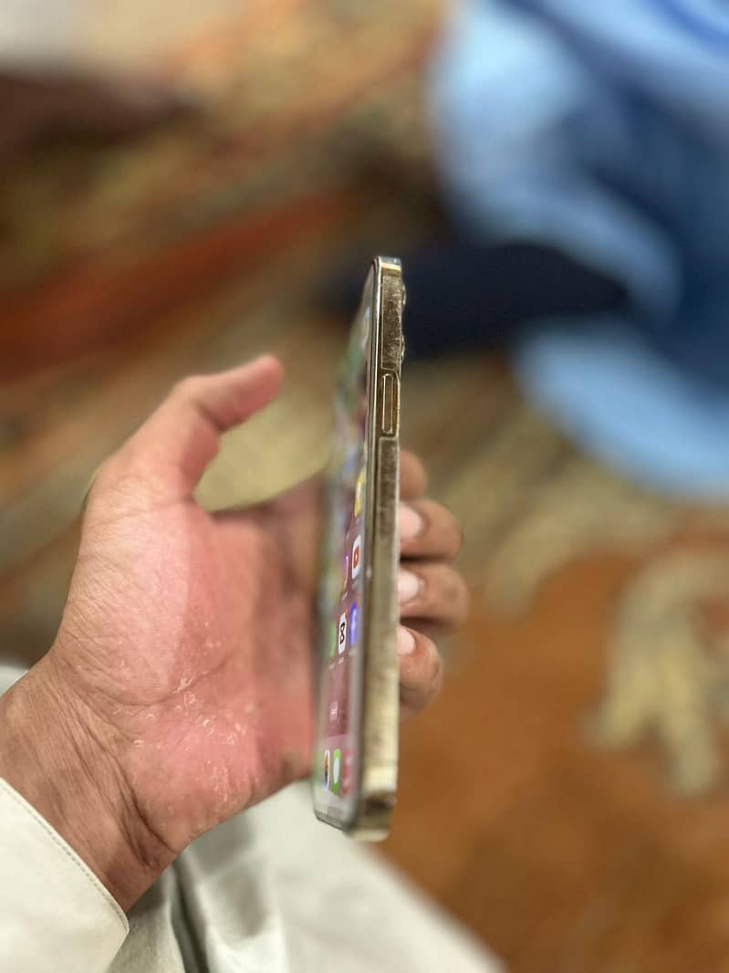 Apple iPhone 12 Pro Max 1