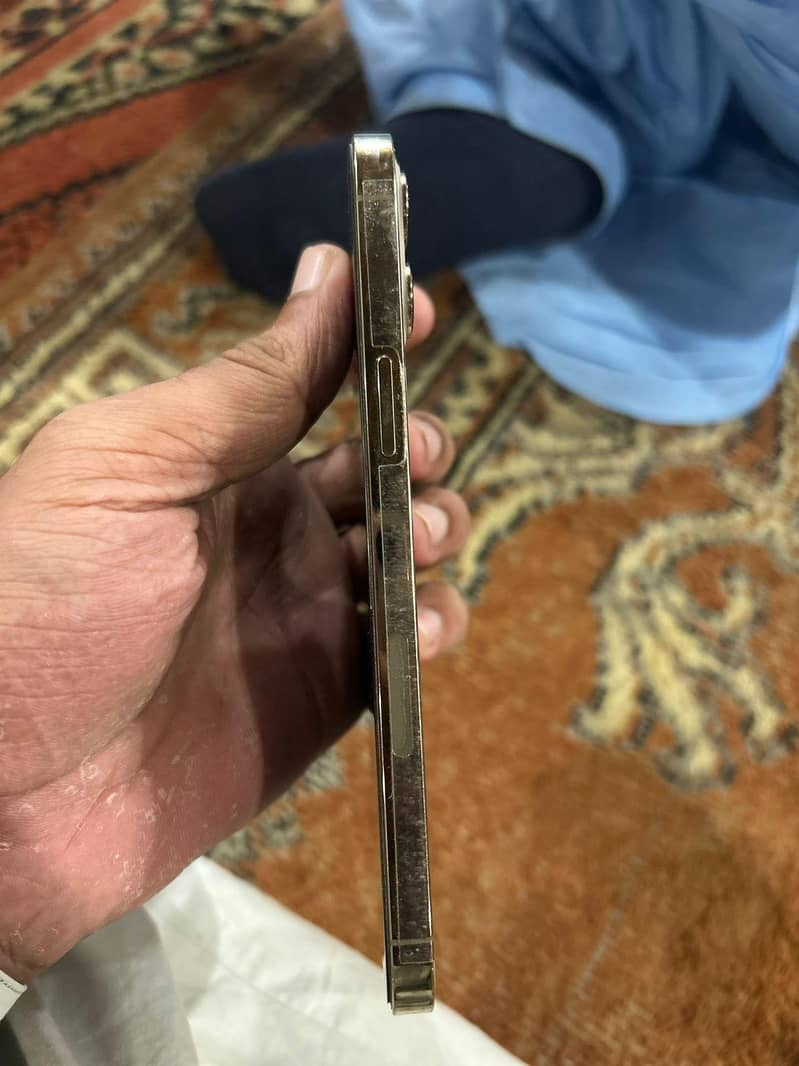 Apple iPhone 12 Pro Max 2