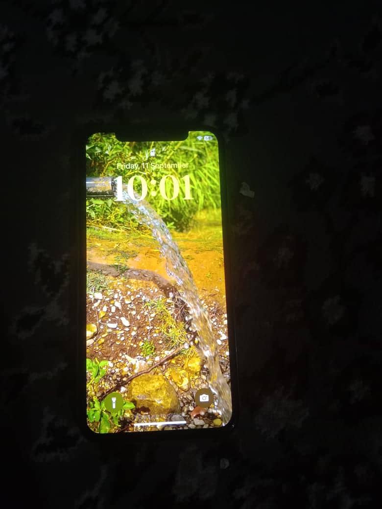 Apple iPhone X 2