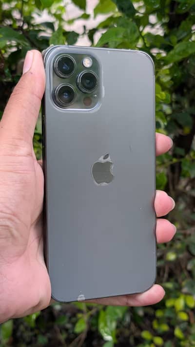 Iphone 12 pro max