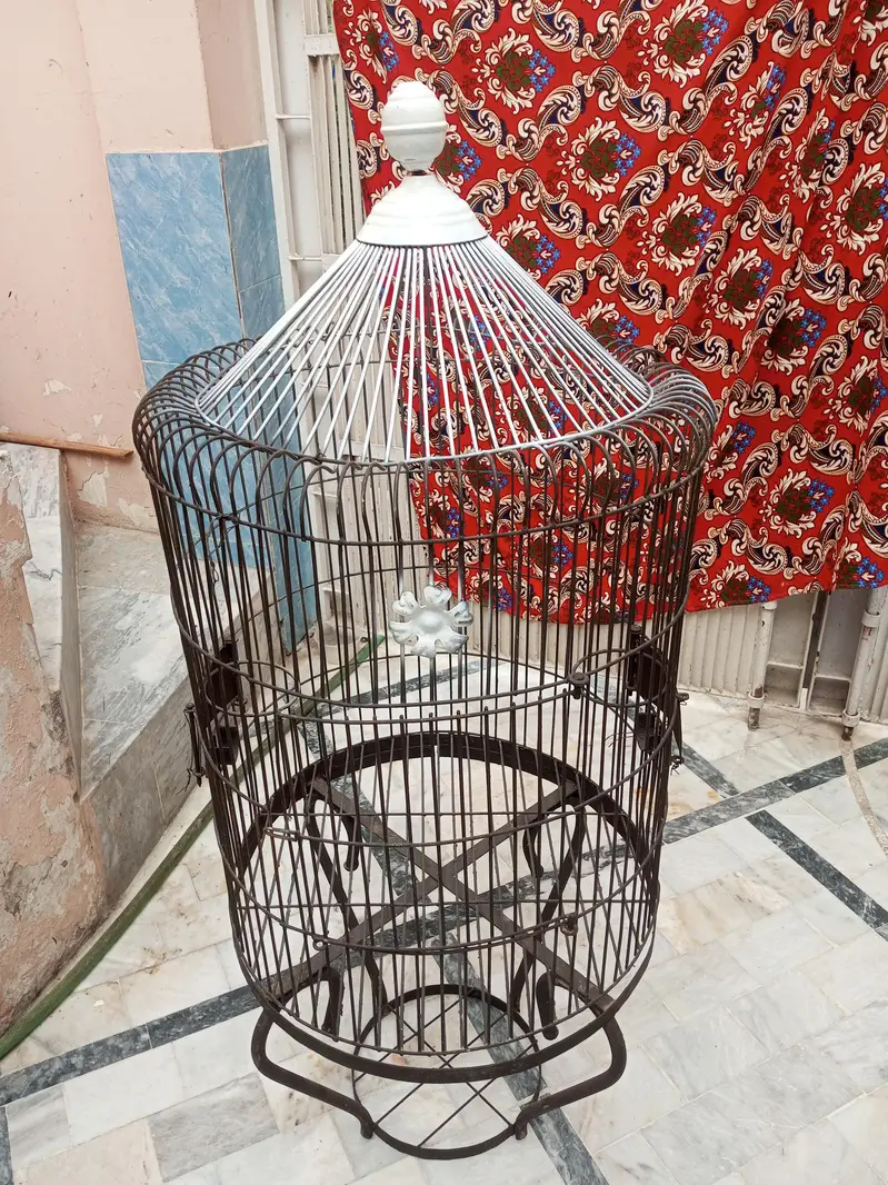 Parrot Cage Big Size Fot Sale — photo 2