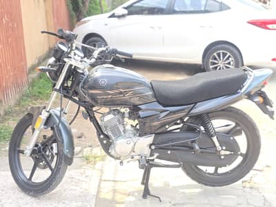 yamaha ybz dx special edtion