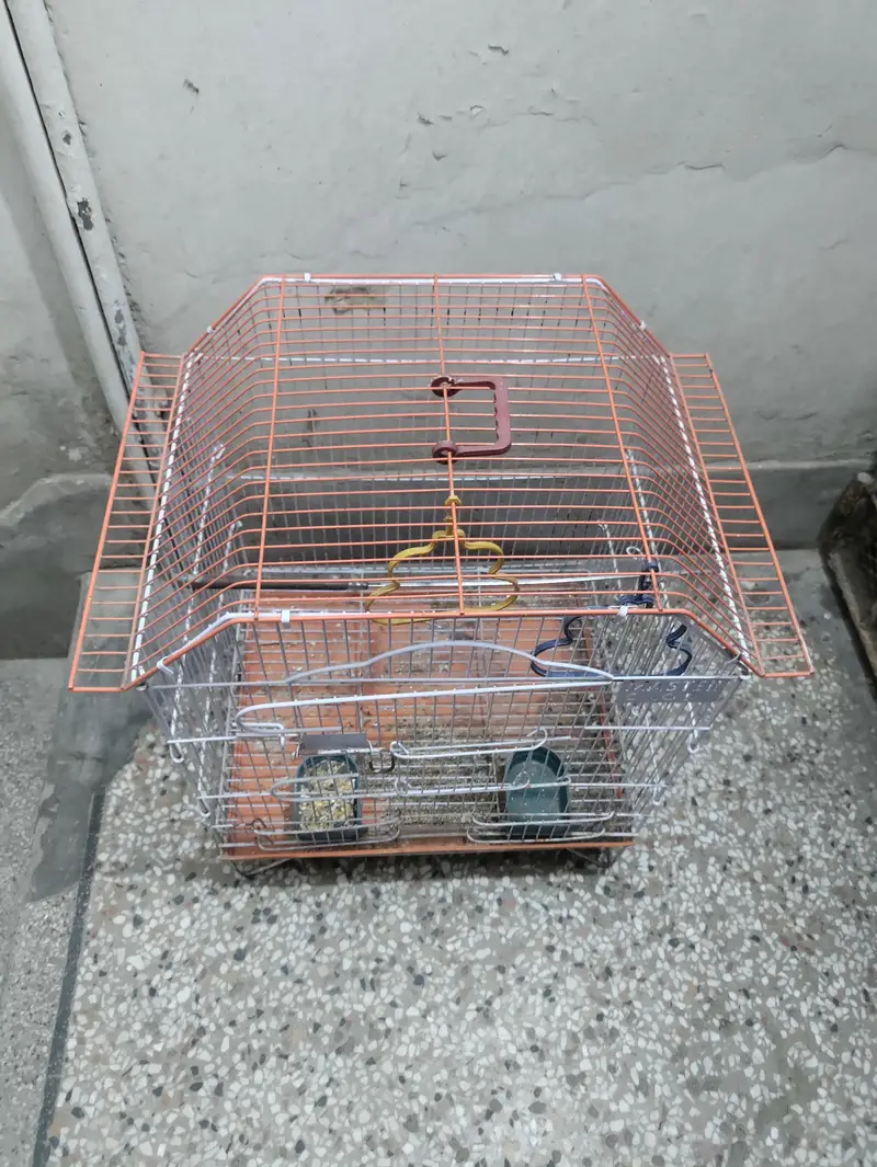 Pet Cage – Excellent Condition — photo 3