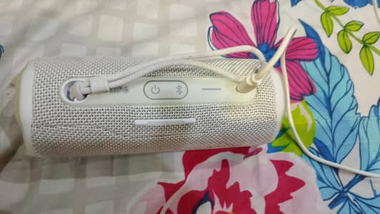 JBL flip 6 spaeker