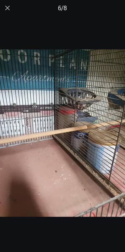 birds cage in good condition only 6 or 8 monts use