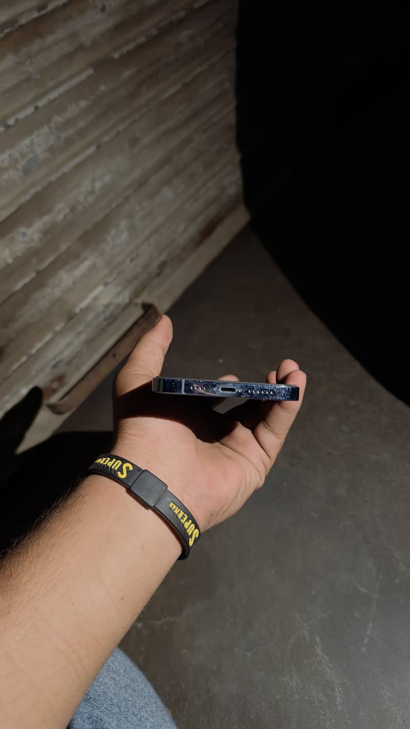 Apple iPhone 13 Pro Max 1