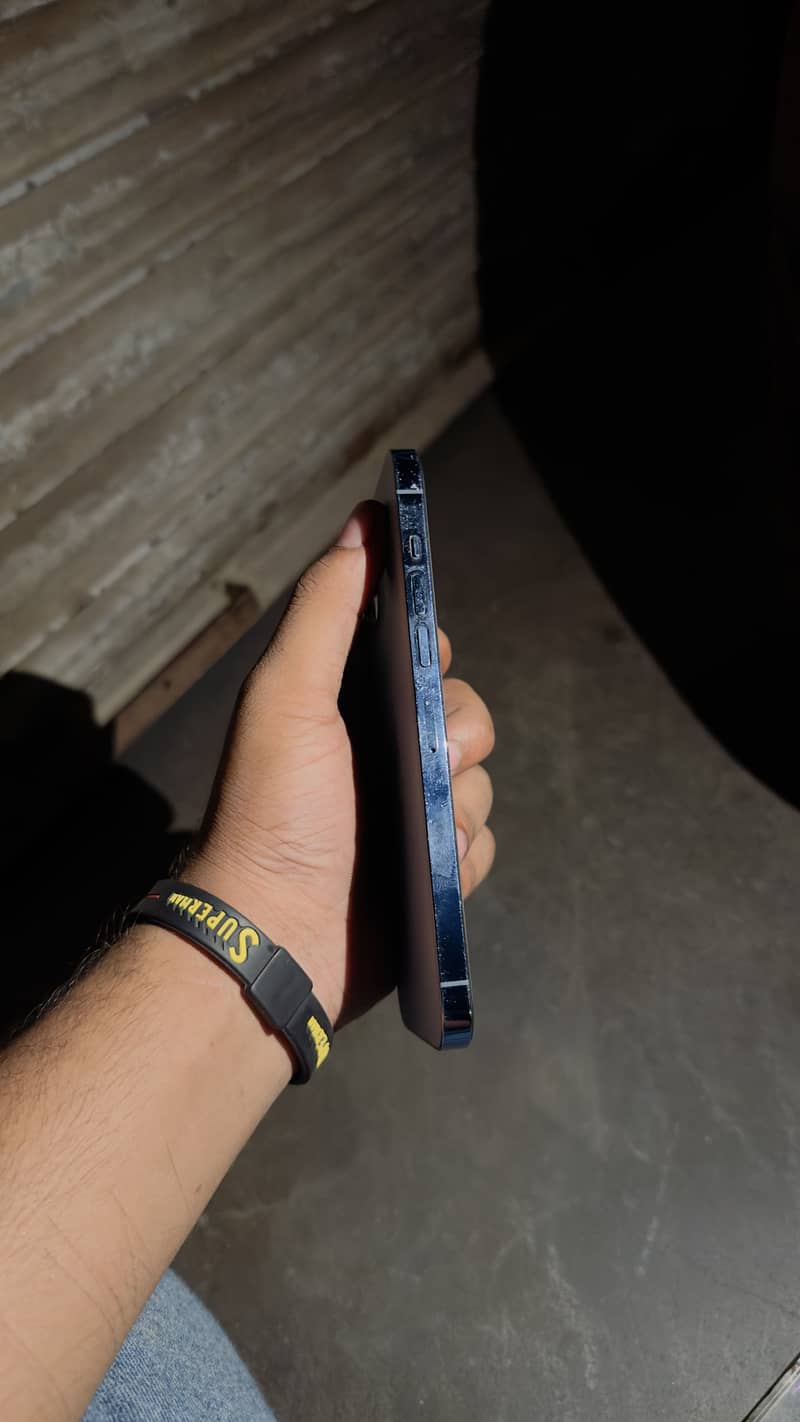 Apple iPhone 13 Pro Max 2