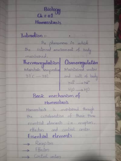 Handwriting assignment Work