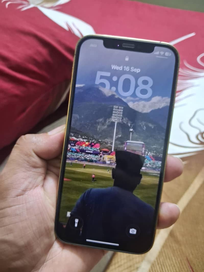 Apple iPhone 12 Pro 3