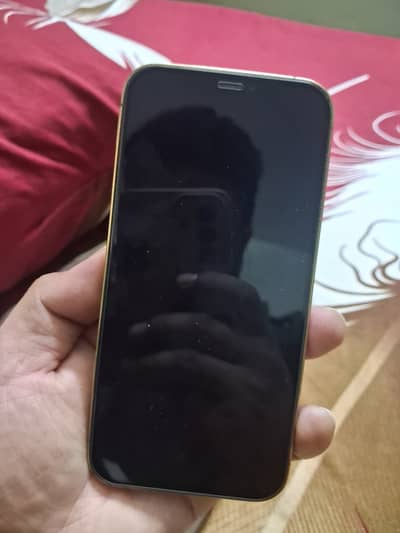 Apple iPhone 12 Pro